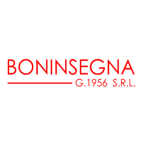 Boninsegna